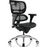 Silla Ergohuman Eco