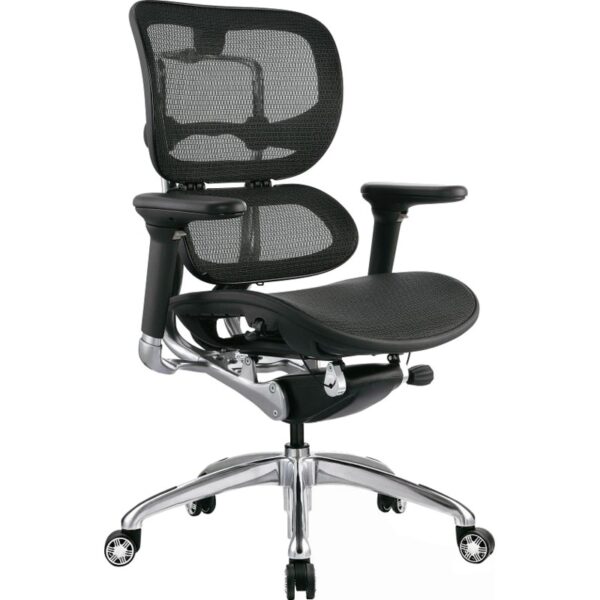 Silla Oficina Ergohuman Lujo